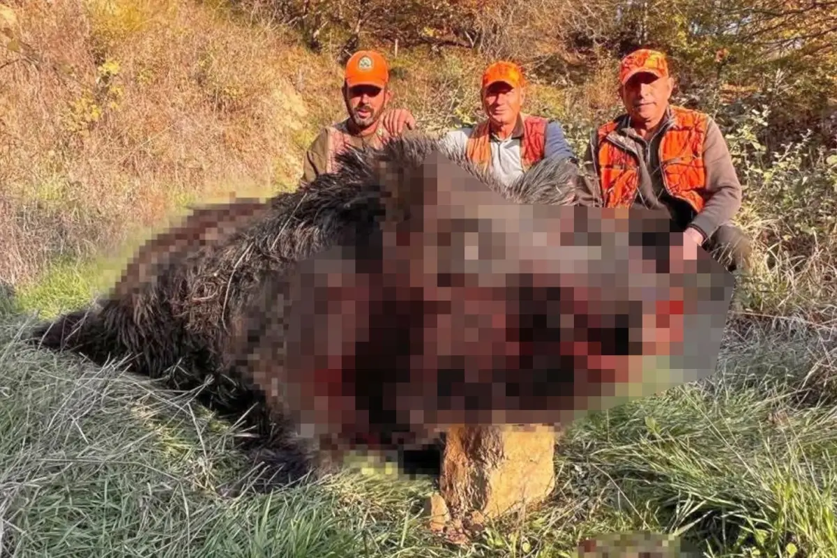 Avcilar Bile Sasirdi Kilosuna Kimse Inanamadi 19263974 1937 Amp