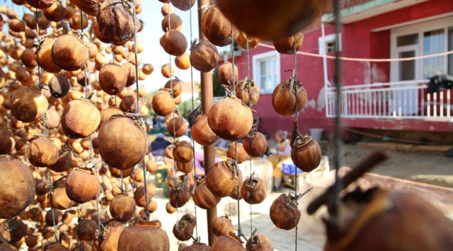 Bahceden Toplayip Sobada 2 Ay Kuruttuktan Sonra 19241054 2984 M