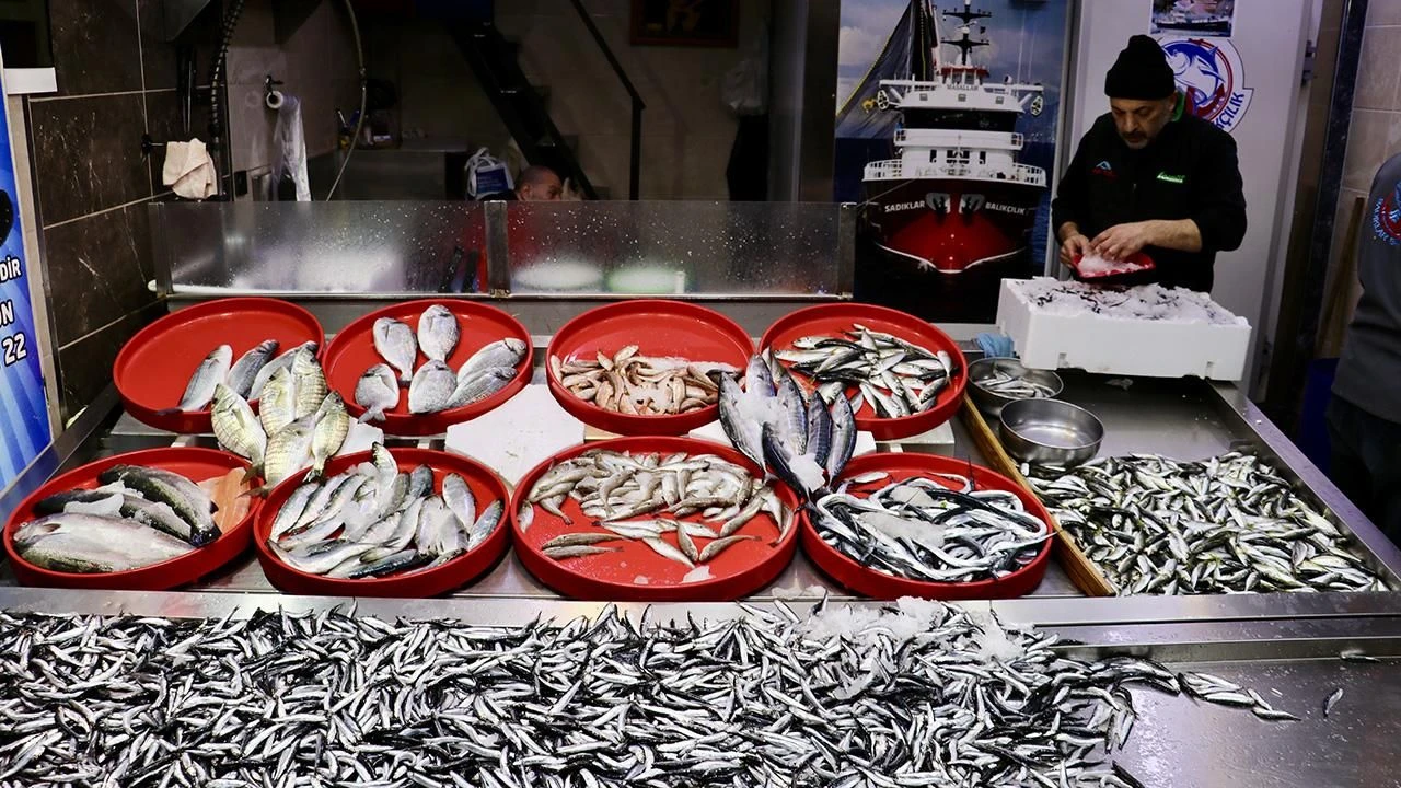 Balik Tezgahi Aa 2413613