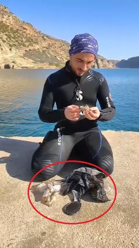 Baraj Golundeki Egitim Dalisinda Buyu Malzeme 4 19277600 O