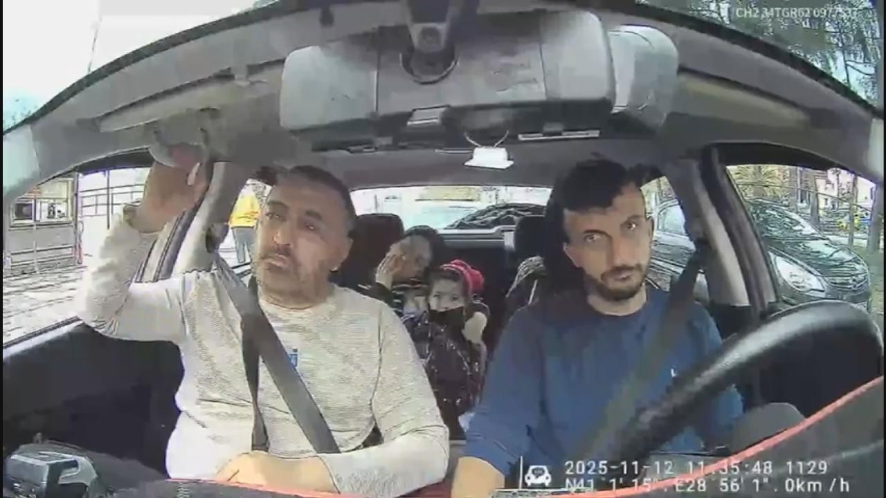 Bocek Ailesi 2417651