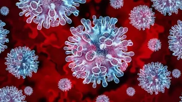 Buyuk Salgin Kapida Covid 19 Dan Bu Yana En 19278470 592 M