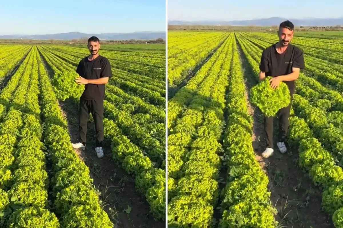 Ciftcinin Boyle Isyan Etti Satarsam Serefsizim 19260027 5770 Amp