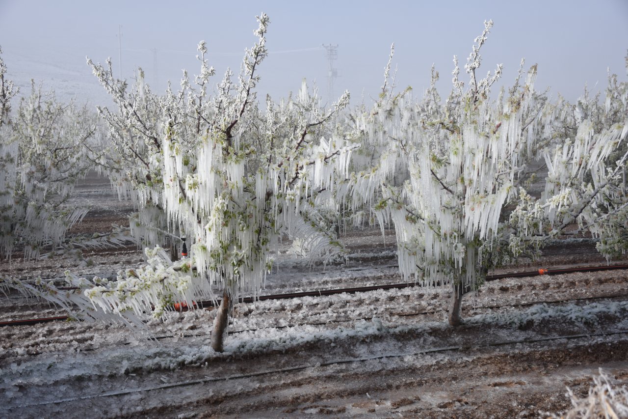 Don Felaketi 65 Ili Etkiledi Tzob Baskani Bayraktardan Ciftciler Icin Fon Cagrisi 1744785857