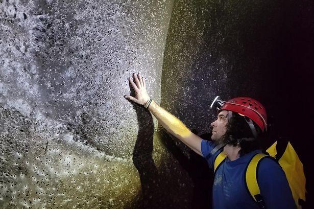 Dunyanin En Buyuk Orumcek Agi Kesfedildi 19230175 3254 M