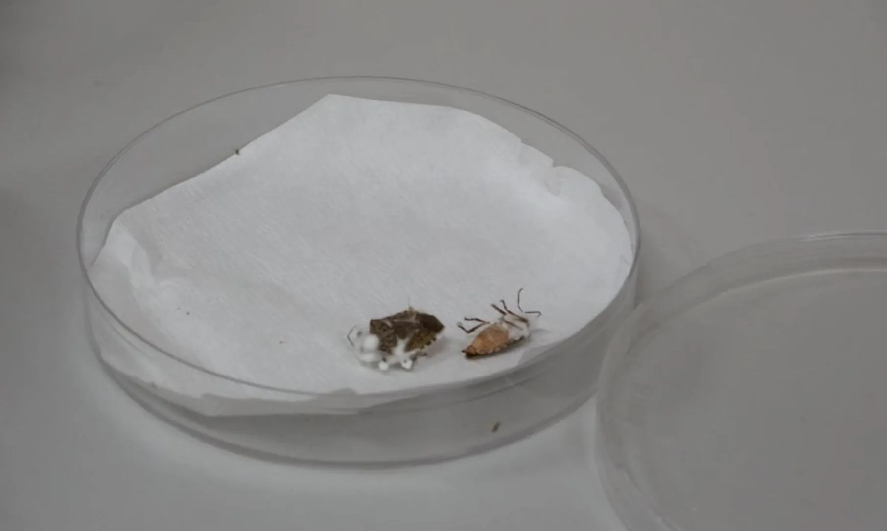 Ekran Resmi 2025 11 19 103728