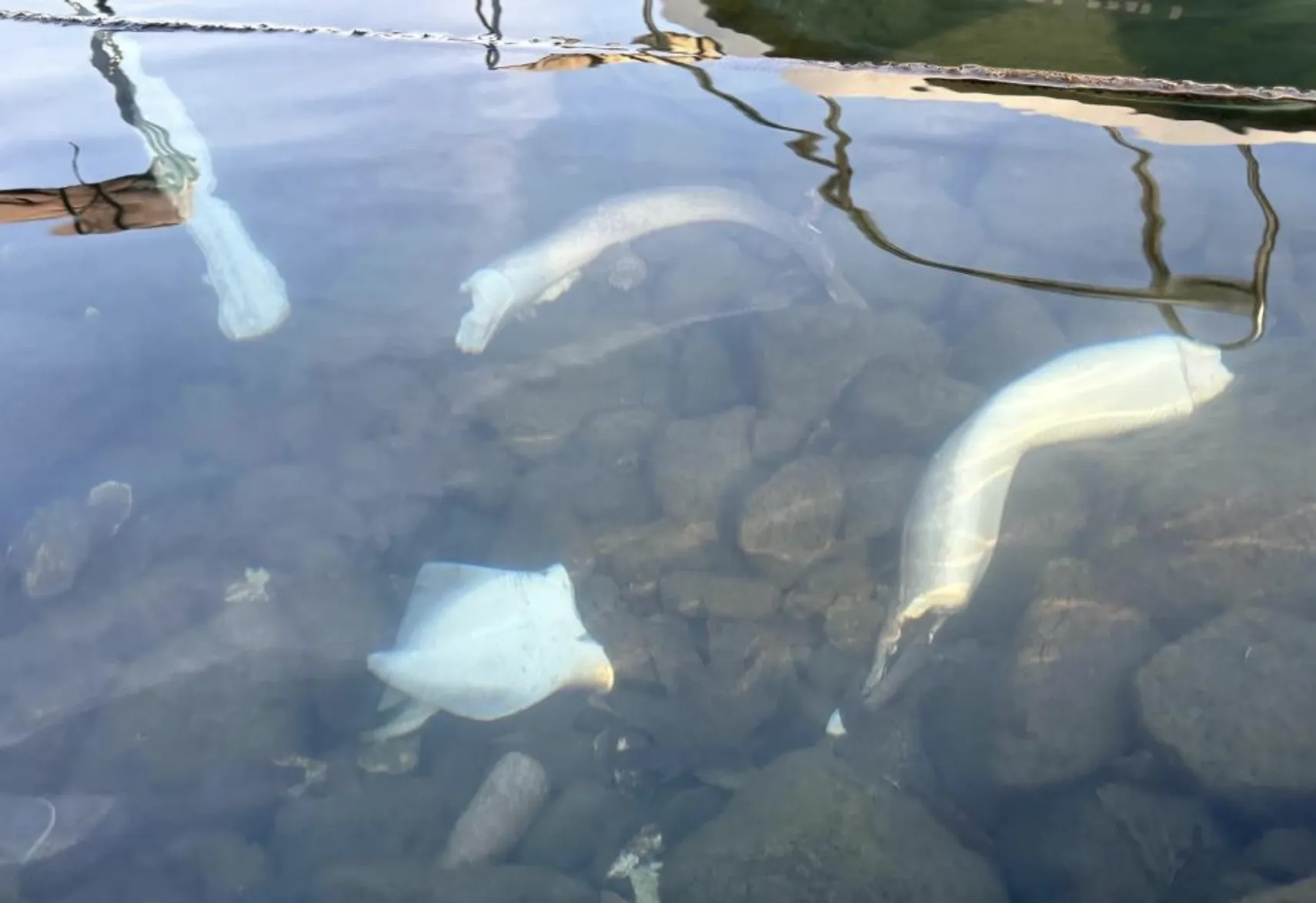 Ekran Resmi 2025 11 28 092536 Kopya