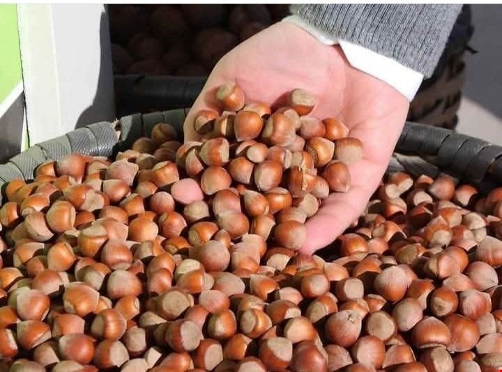 Ferrero Turk Findigi Alimini Durdurdu Fiyat Krizi Cikti 3112025 725 Ic