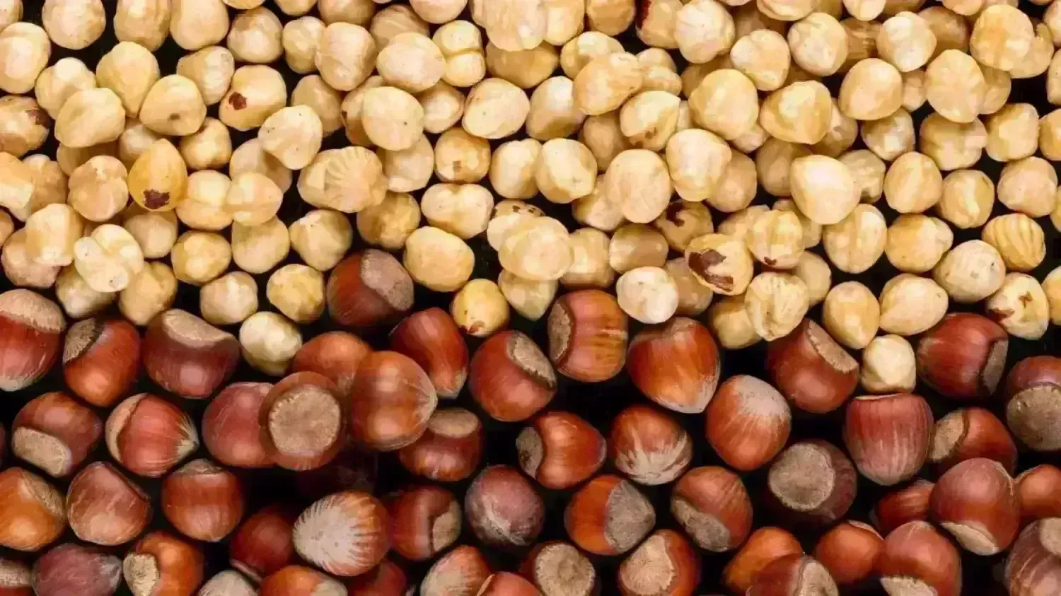 Findik Fiyatlari Rekor Dusus 30 Ekim 2025Te Il Il Serbest Piyasa Guncel Findik Fiyati 1 Wwwcagdaskocaelicom