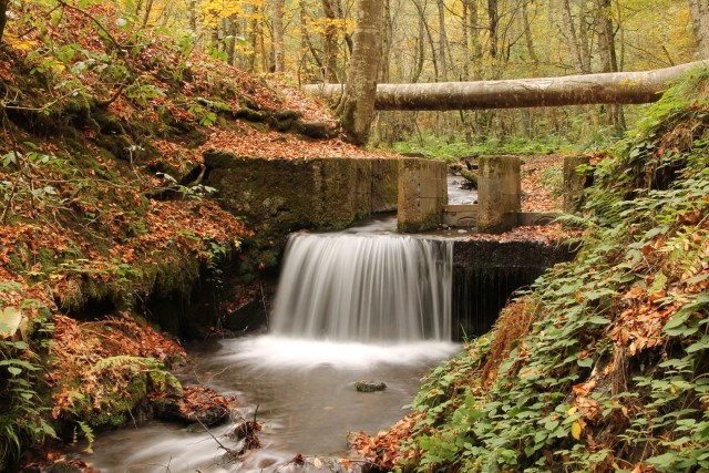 Haber 20251106133040