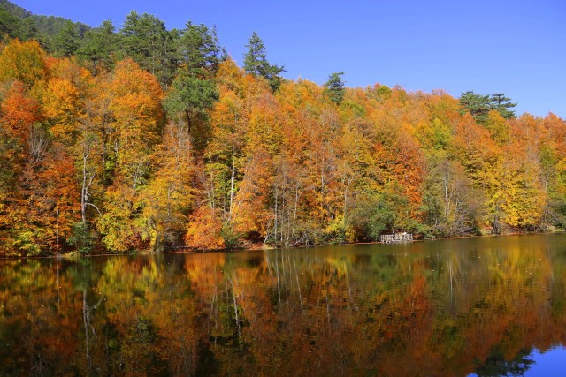 Haber 20251106133051