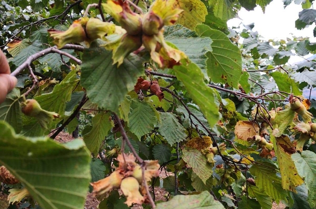 I M G C C A C11 3 A6190 E99692 D7 C6 C1 5 F3 F3 E F2 B0 F A-1