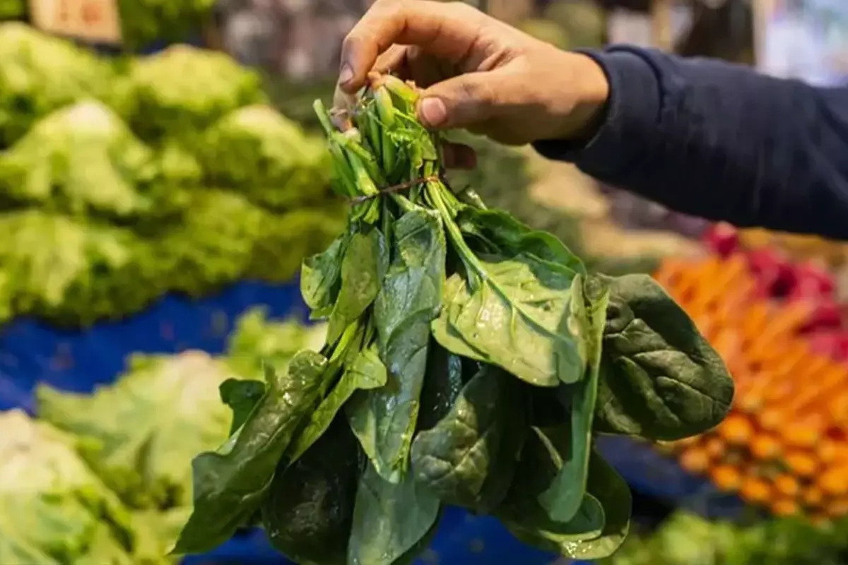 Ispanak Sanip Yediler Tek Tek Fenalastilar 19235206 8869 Amp