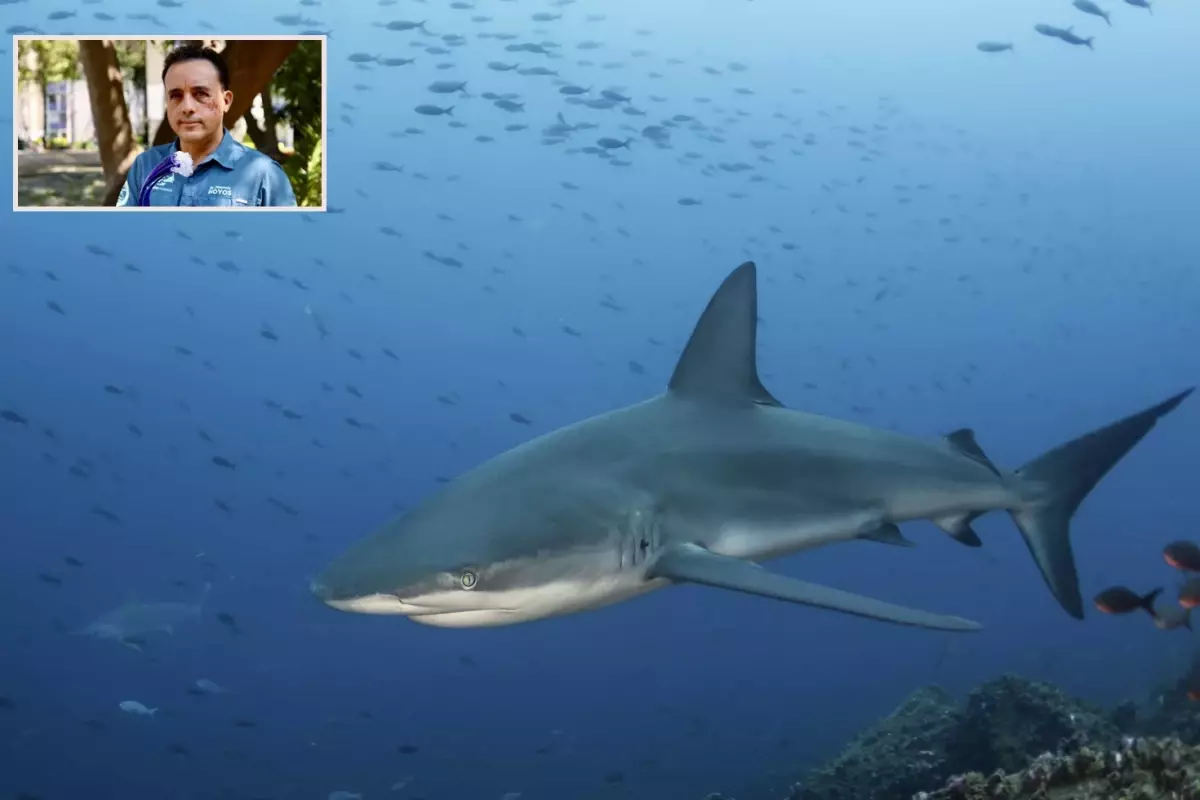 Kopekbaligi Basindan Isirdi Sag Kaldi Bu Hayvan 19282737 2606 Amp (1)