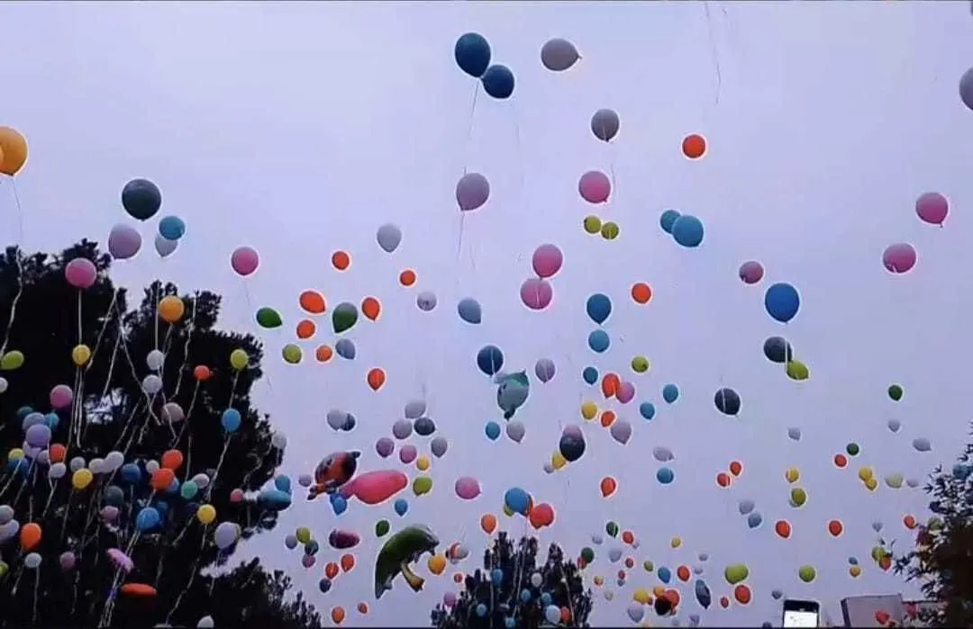 Malatyada Losemili Cocuklar Icin Binlerce Balon Gokyuzune Birakildi