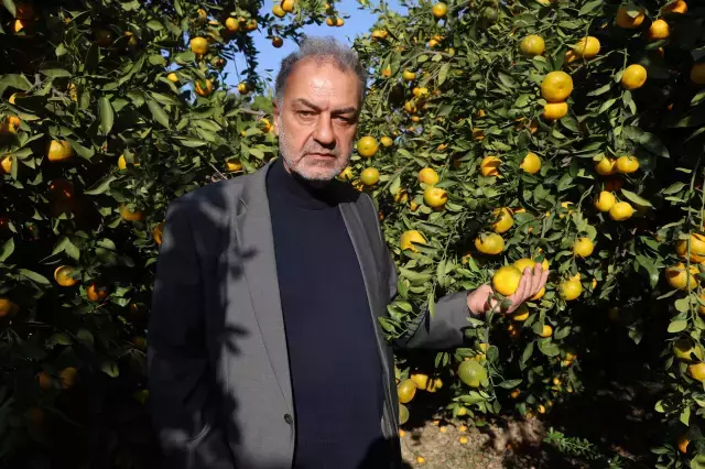 Marketlerde 30 Tl Ye Satiliyor Fiyati 2 Tl Ye 19282225 4024 M