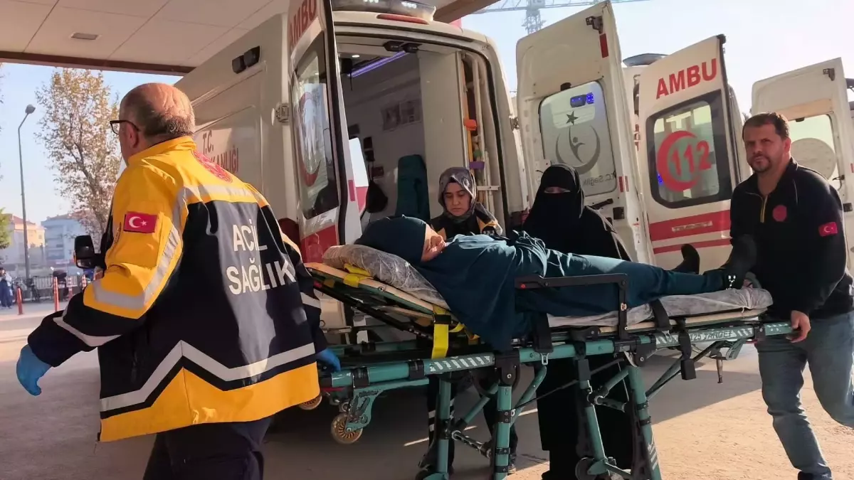 Marketten Aldiklari Tavugu Yiyen Ayni Aileden 19263047 Amp