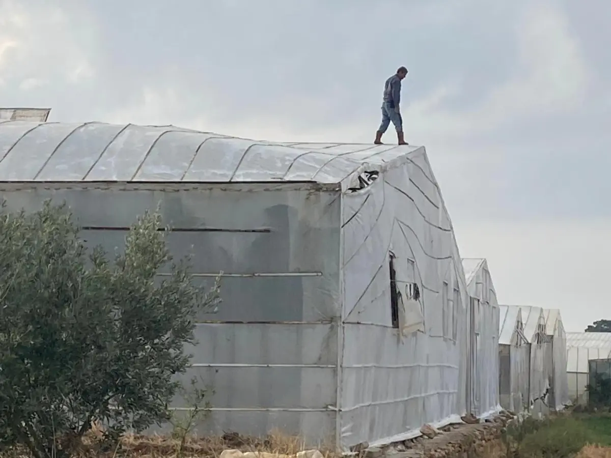 Mersin De Hortum Ve Firtina Seralara Zarar Ve 19229635 Amp