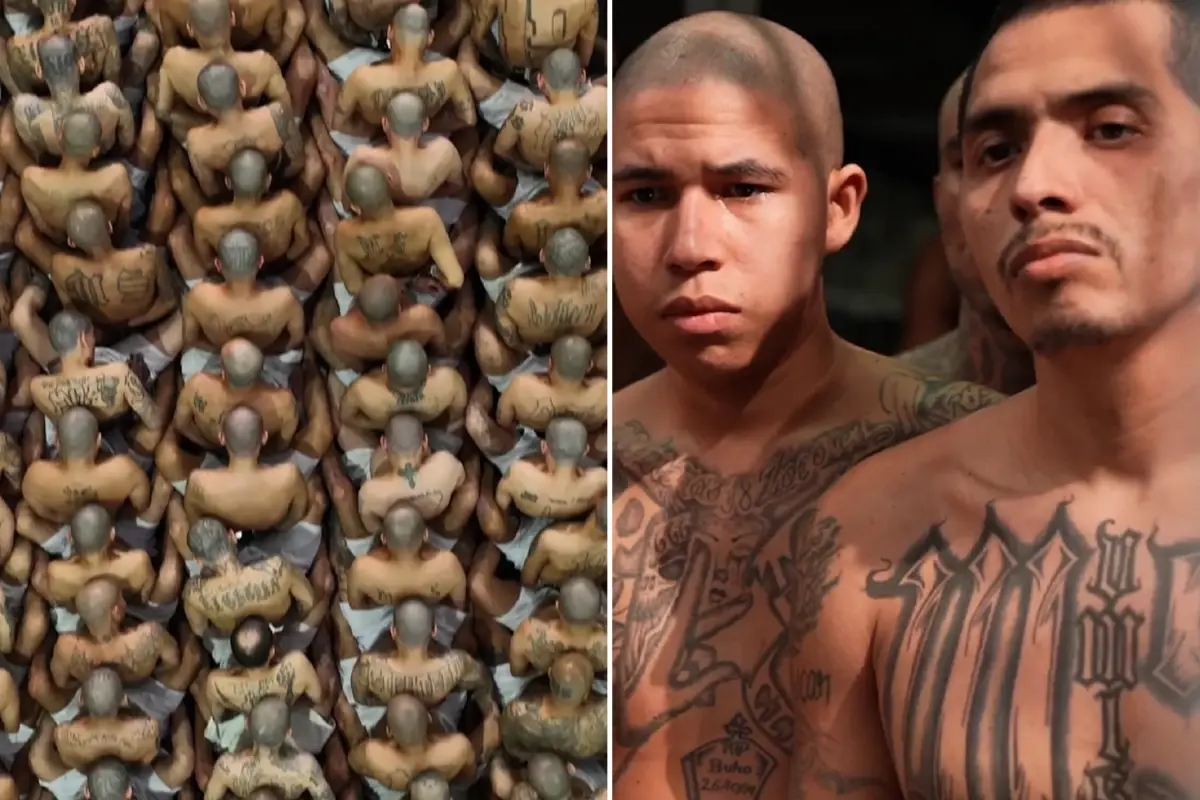 Nayib Bukele Den Cezaevi Denetimi Ve Sucla 19286582 7277 Amp