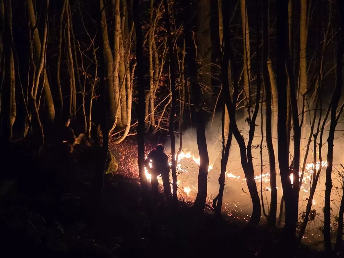 Ordu Da Cikan Ortu Yanginina Mudahale Ediliyo 19284363 Amp