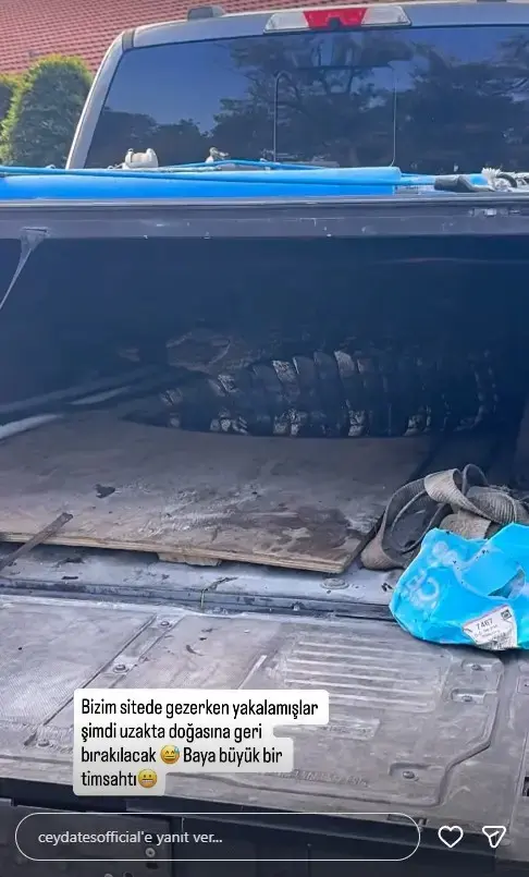 Oyuncu Ceyda Ates In Oturdugu Sitede Timsah 19218498 1093 M