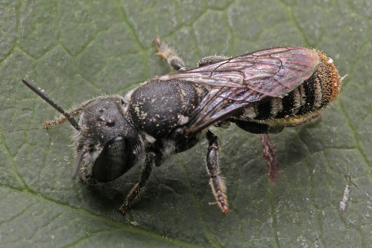 S 91F3064732E12F893D5F1A12F8D3A3Eb169A4708