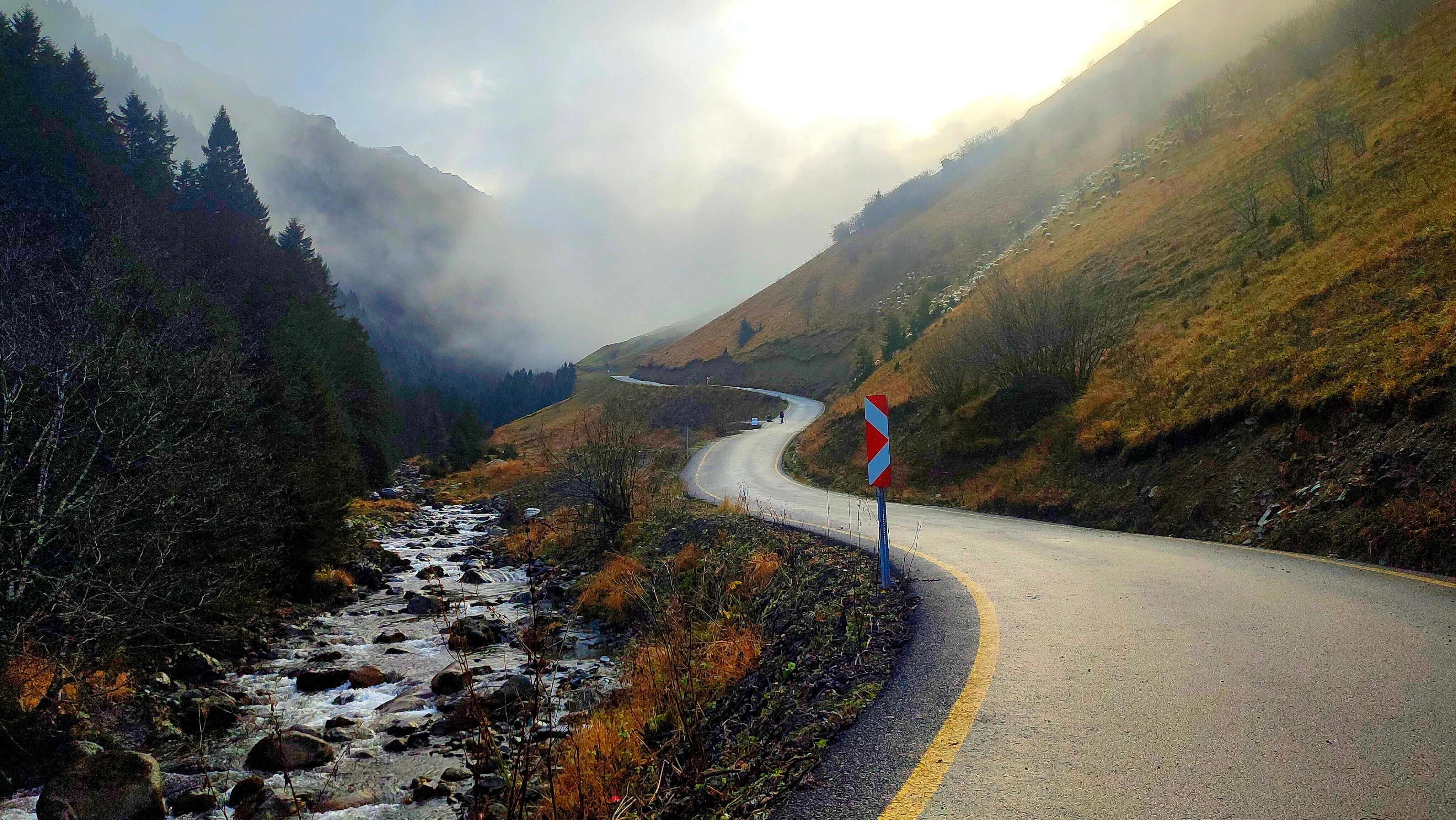 S A N T A H A R A B E L E R I N D E S O N B A H A R A V E D A 1022536 303438