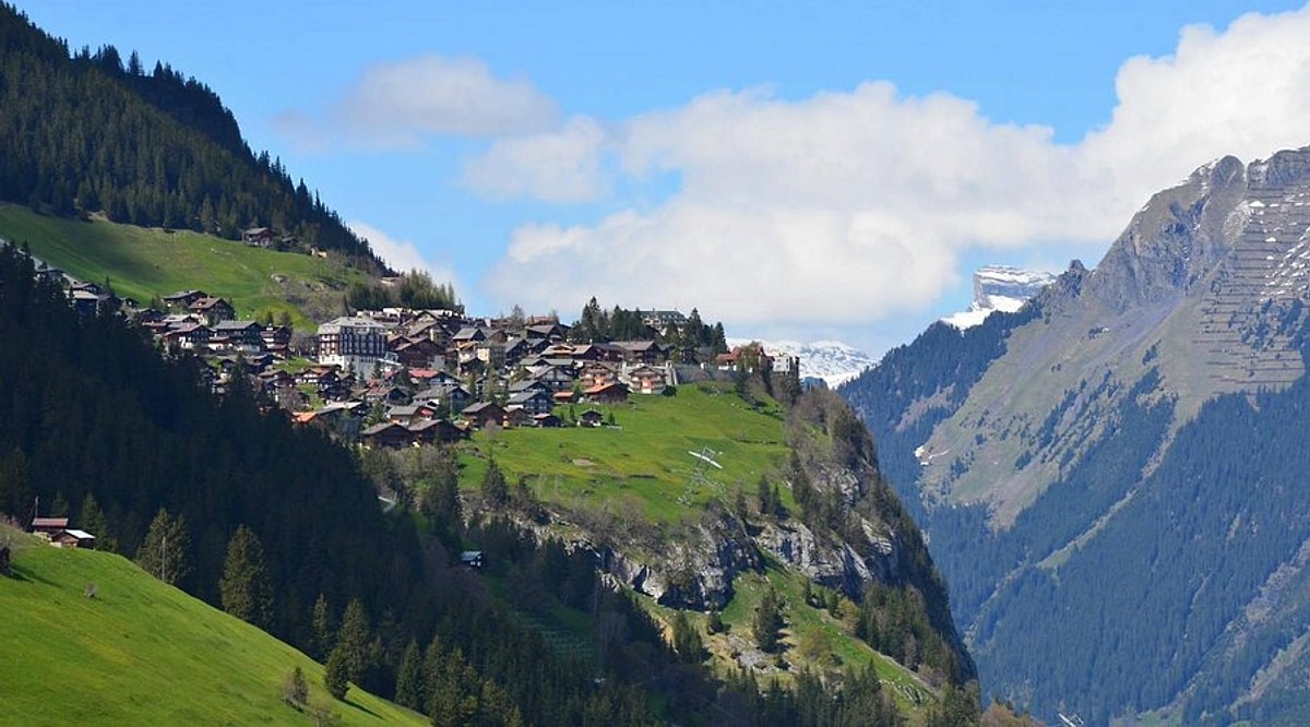 S F33F06868Ac1C8057801A6692Fa886A3Ff928111