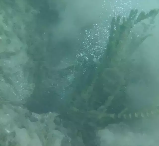 Sapanca Golu Fay Hatti Boyunca Fokur Fokur 19270644 4748 M