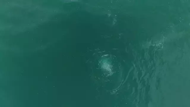 Sapanca Golu Fay Hatti Boyunca Fokur Fokur 19270644 6424 M