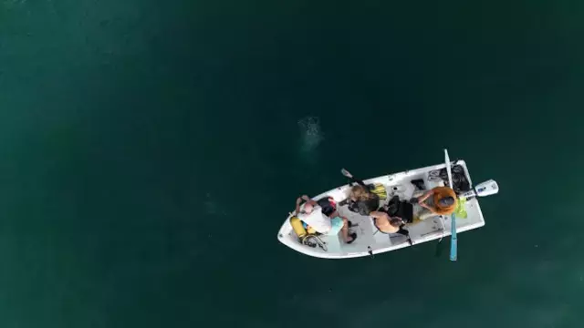 Sapanca Golu Fay Hatti Boyunca Fokur Fokur 19270644 8819 M