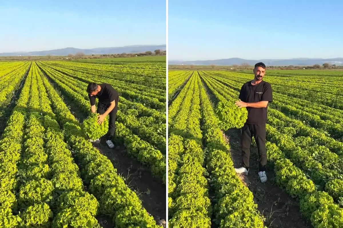 Satarsam Serefsizim Diyen Izmirli Ciftcinin 19276479 512 Amp