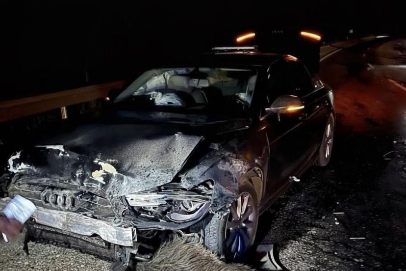 Sinop Belediye Baskani Gurbuzun Makam Araci Domuz Surusune Carpti