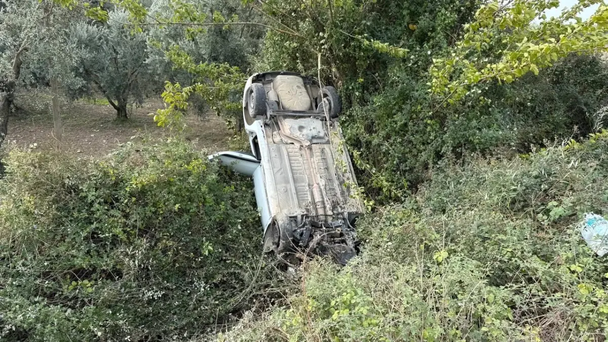 Sollama Yaparken Zeytinlige Uctu 19211504 Amp