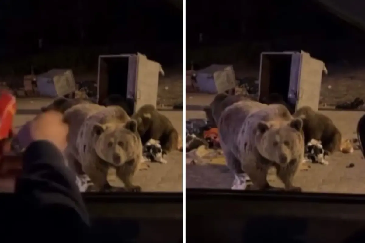 Sucuk Vermek Istedigi Ayinin Hedefi Oldu 19299740 226 Amp