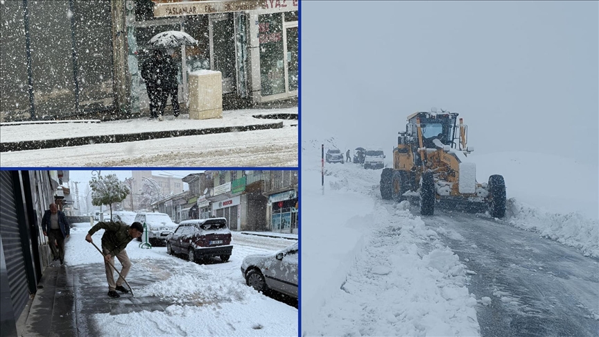 Thumbs B C 1052C126B5C889Dba0Dfc1B9A8Dda096