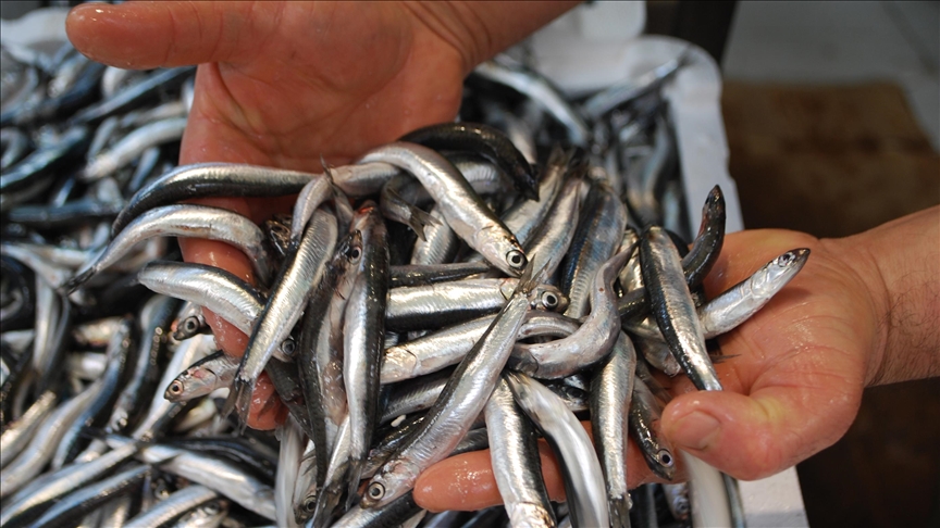 Thumbs B C 3Dbc6Fd8160B813A243468Fe1E2Afec4