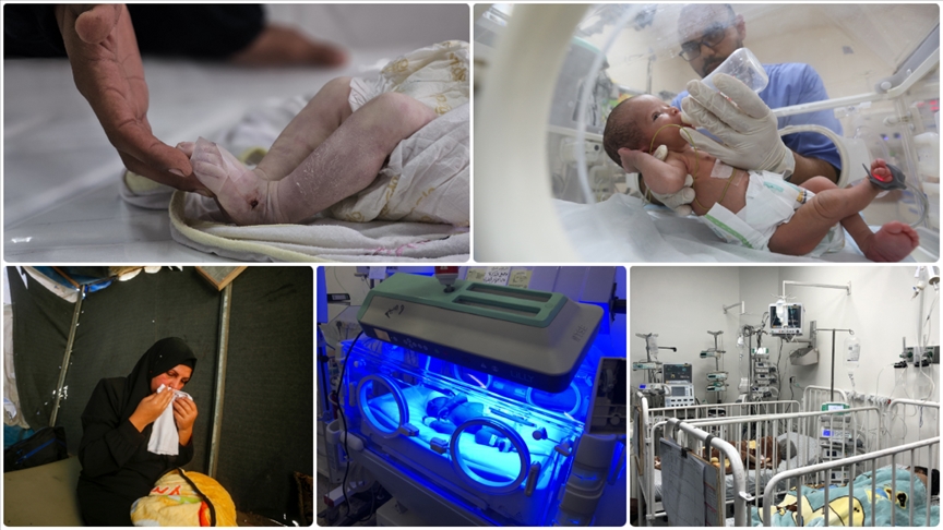 Thumbs B C 6784Eef9Dd2196C28Ac52Ff2Ffa329A5