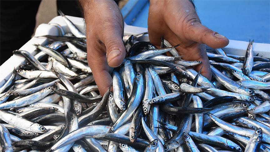 Thumbs B C 85321Fc03023D2E69757Bc5Ea7Ff40A7