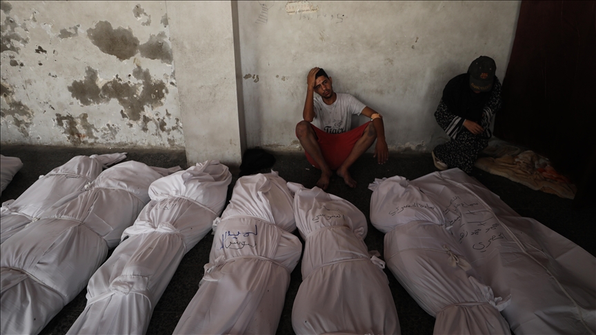 Thumbs B C A53138B8D3C51810C9De04Edaf351268