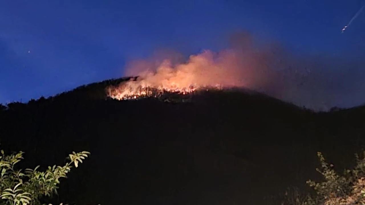 Trabzonda Cikan Ortu Yangini Kontrol Altina Alindi