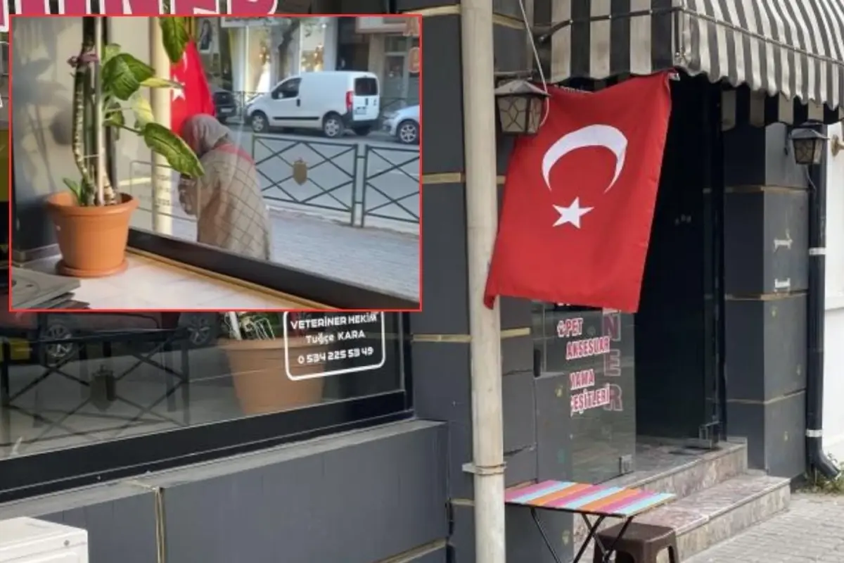 Turk Bayragini Gorup Yaptigiyla Yurekleri Isitti 19306731 6152 Amp