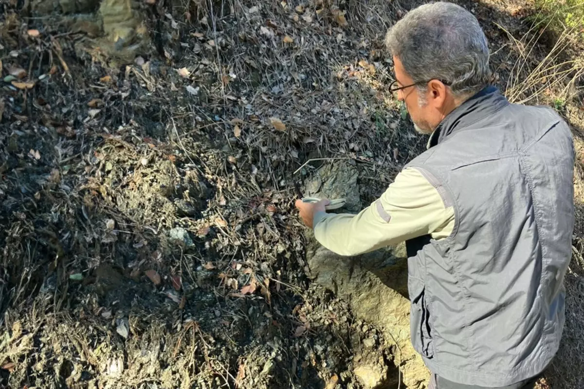 Yeni Faylar Tespit Edildi Prof Dr Sozbilir Den 19207966 9653 Amp