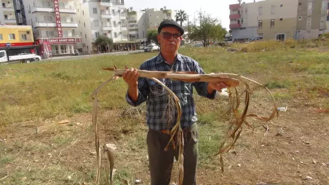 Yer Alti Suyunun Ustunden Gectiginde Elektrik 19251999 9964 M