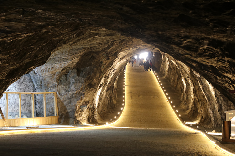 009 2023 002 2023 15 Kasim 29 20231126 2 61420549 95323403