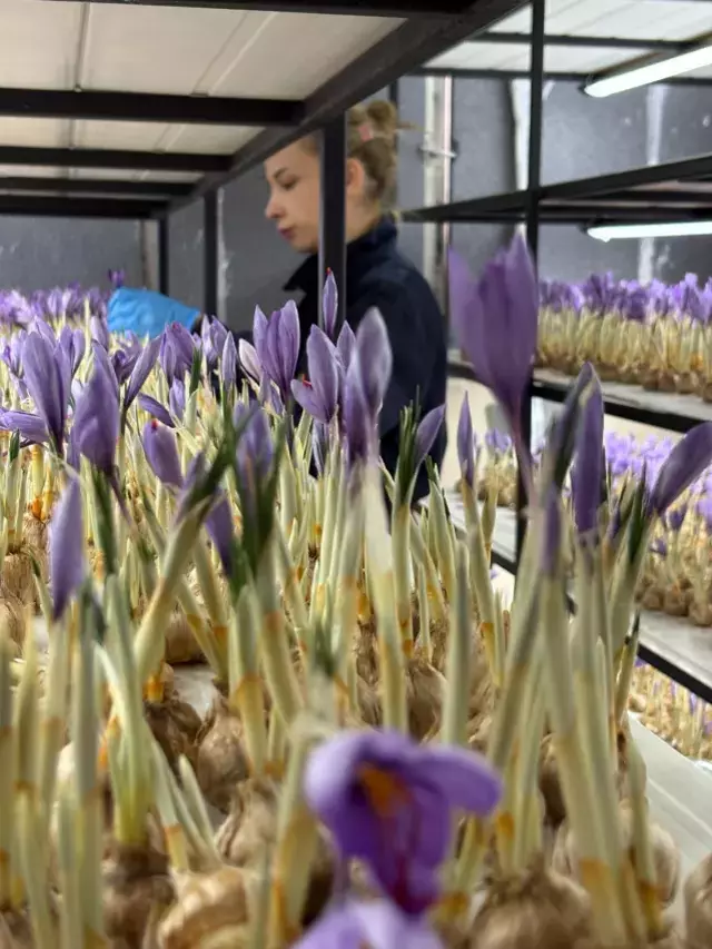 100 Bin Lira Maasli Isi Birakip Sektor Degistirdi 19352917 2710 M