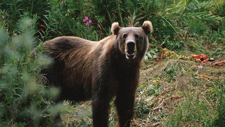 5A26C1Be2269A20B8Ce8Aa2A