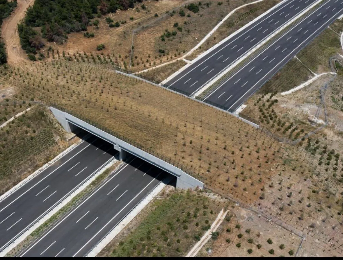 600286285 10164520577497743 1024266133458318896 N