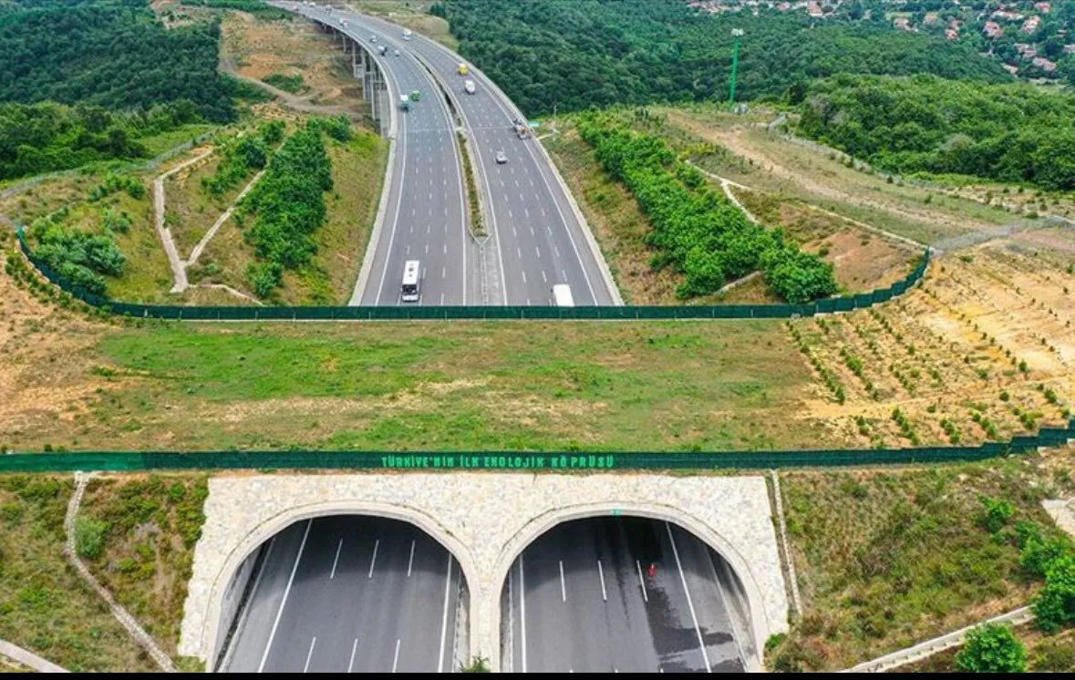 601815218 10164520577482743 5081970629834559134 N