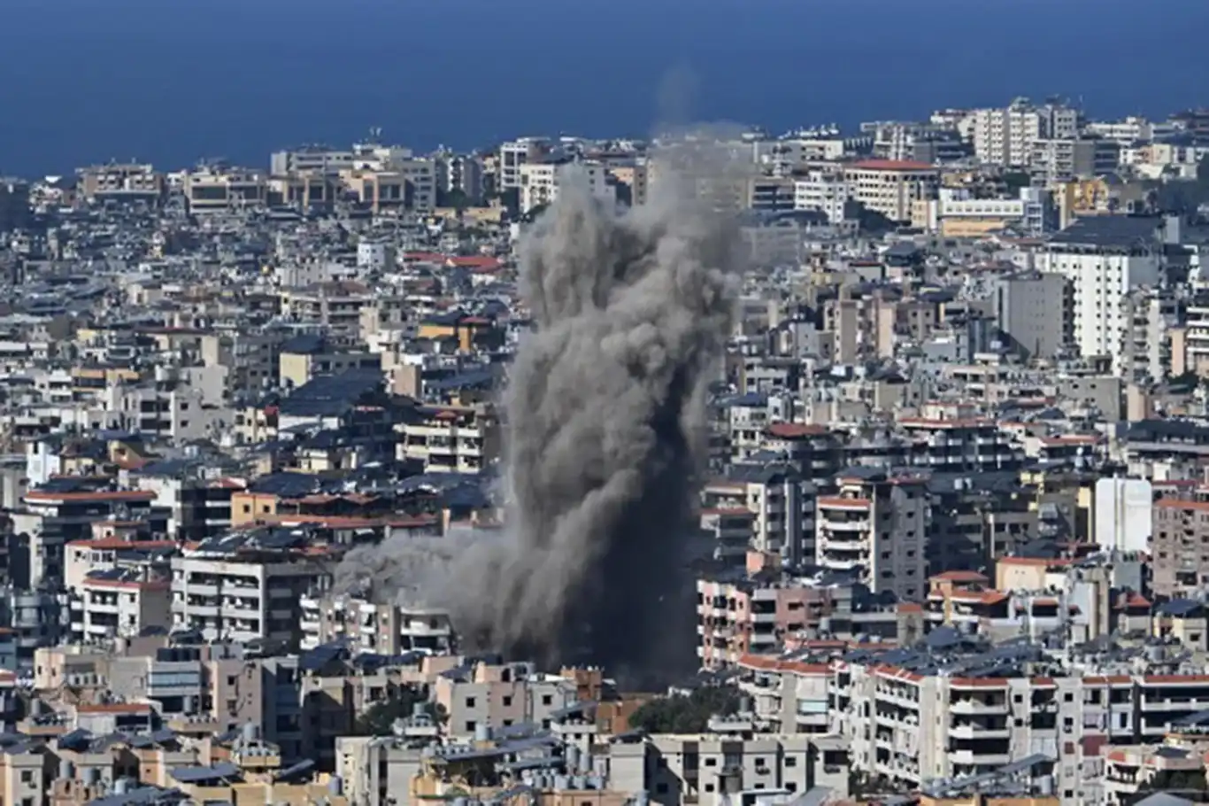 A233F48B C218 4Aed Ac23 5293F84Ba49D